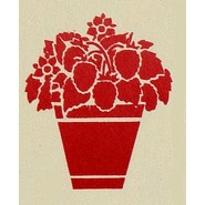 fruit5