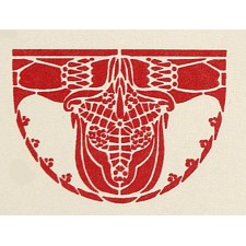 ornament groot6